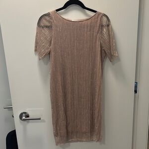 Elegant Shimmering Dress